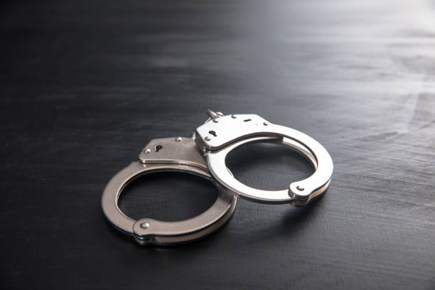Update : Gweru's 31 March Protestors ( 8) remanded out of custody to June.