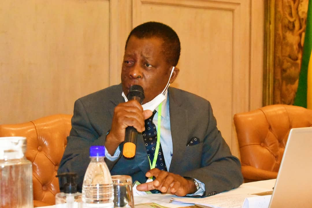 ZESA Chairman ,Gata accorded National hero status.