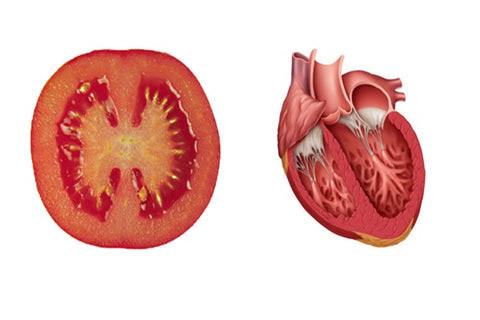 Nature's Pharmacy: Fascinating Connections Between Food Shapes and Health Benefits